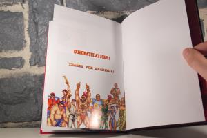 Street Fighter 30th Anniversary Collection - Edition Collector (21)